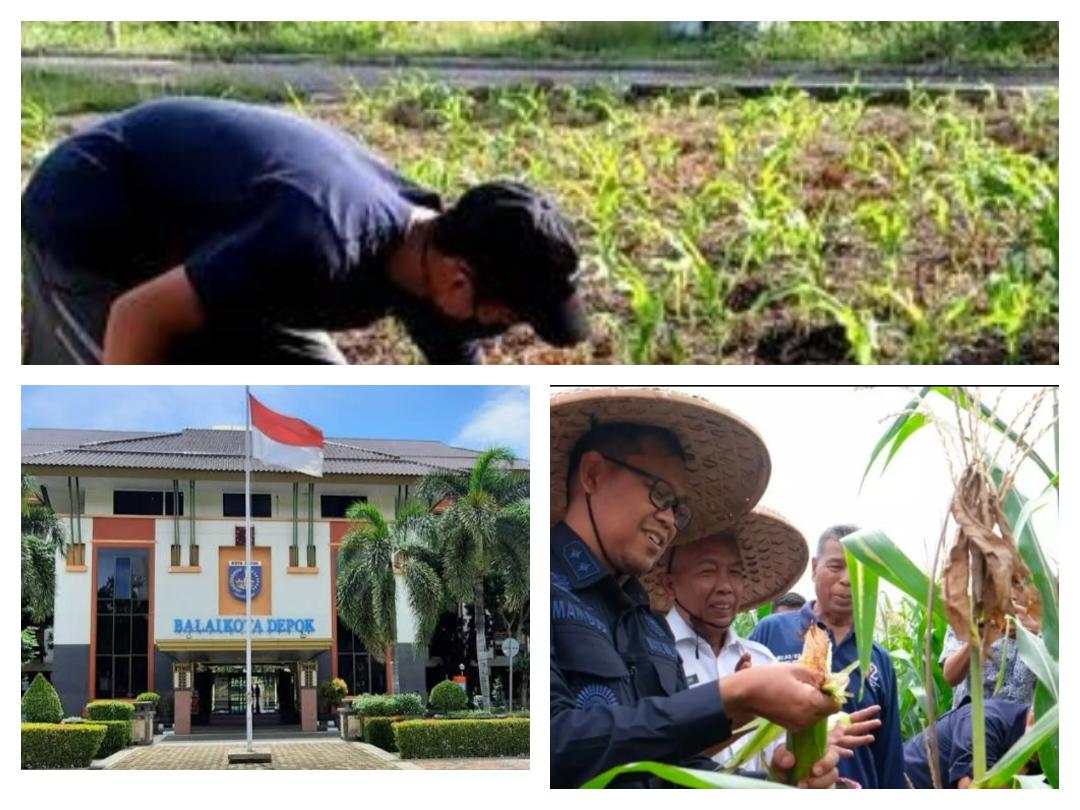 Imam Budi Hartono Ajak Warga Manfaatkan Lahan Tidur Untuk Bercocok Tanam Dengan Cara Metode Urban Farming